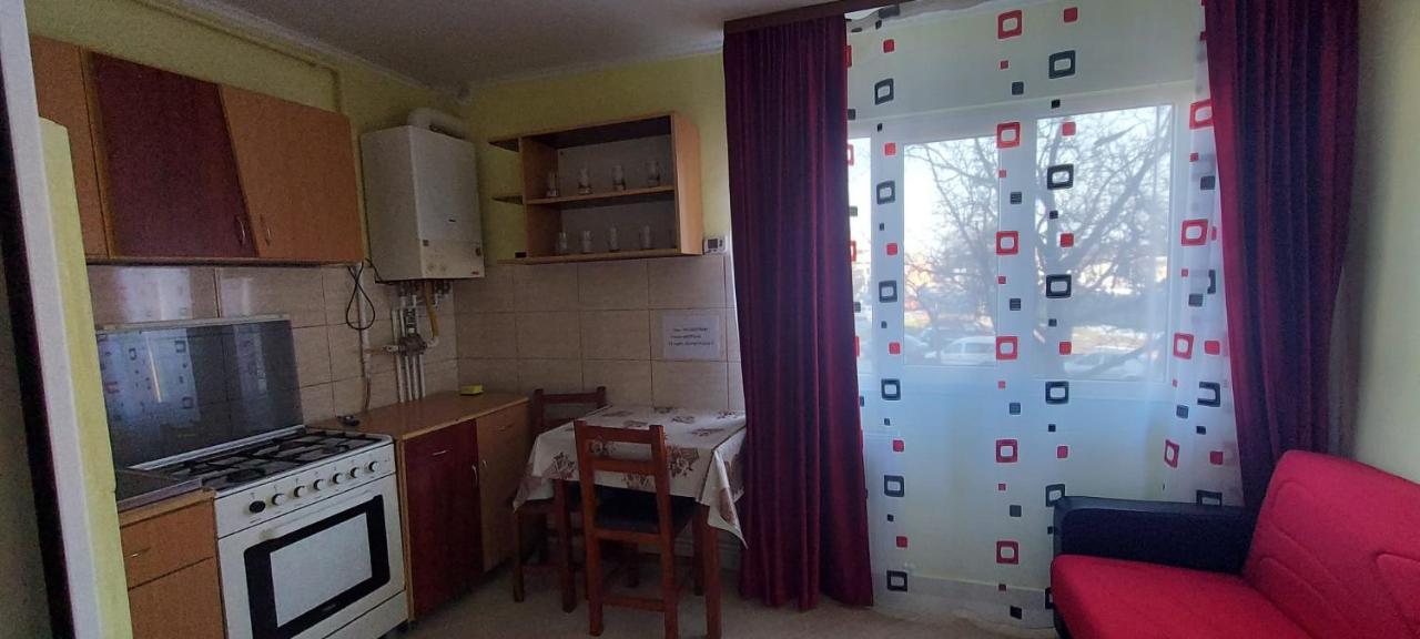 Flora Apartament Apartment Satu Mare Exterior photo